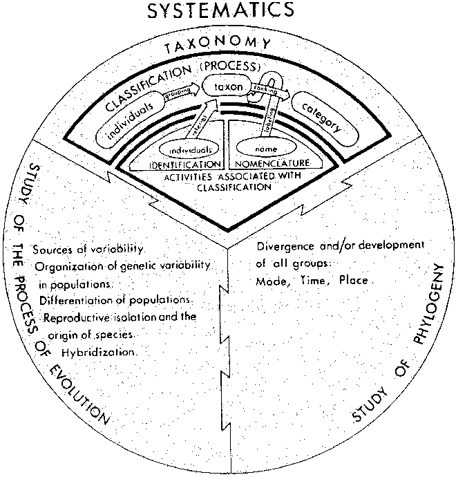 The tri-partite nature of systematics