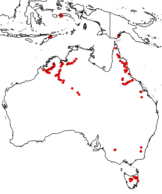 Map of collecting locations from AVH for John Turnbull