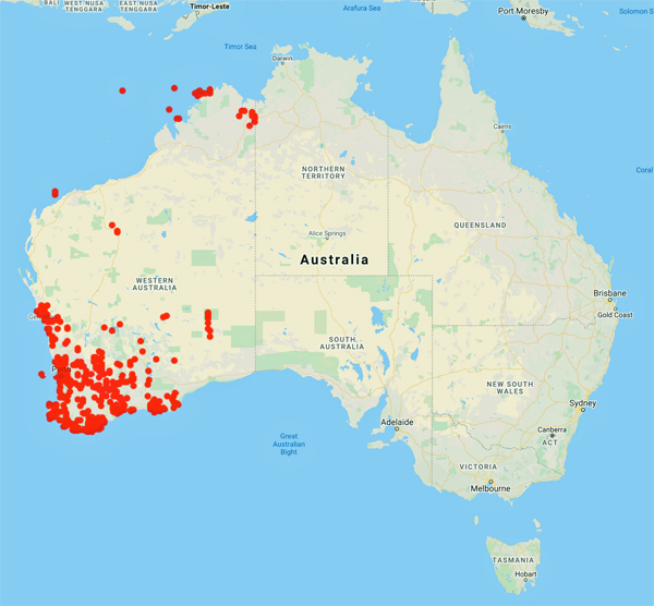 collecting locality map for 'Marchant, N.G.'