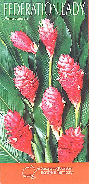 Alpinia purpurata Federation Lady image