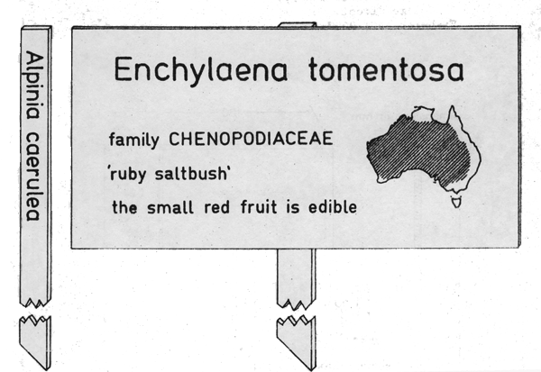 Stake label, tree label