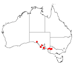 Goodenia robusta distribution