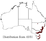 Pomaderris intermedia distribution