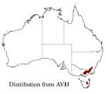 Prostanthera cuneata distribution