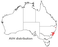 Telopea speciosissima distribution