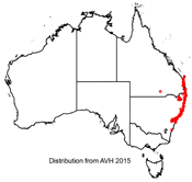 Blandfordia grandiflora distribution