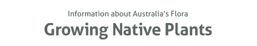 Growing Native Plants - Information about Australia's Flora